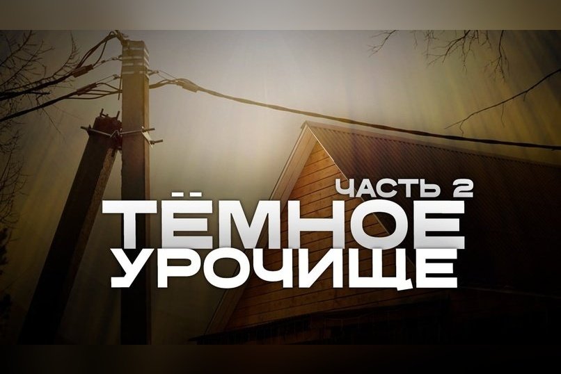 Десять сосен до света