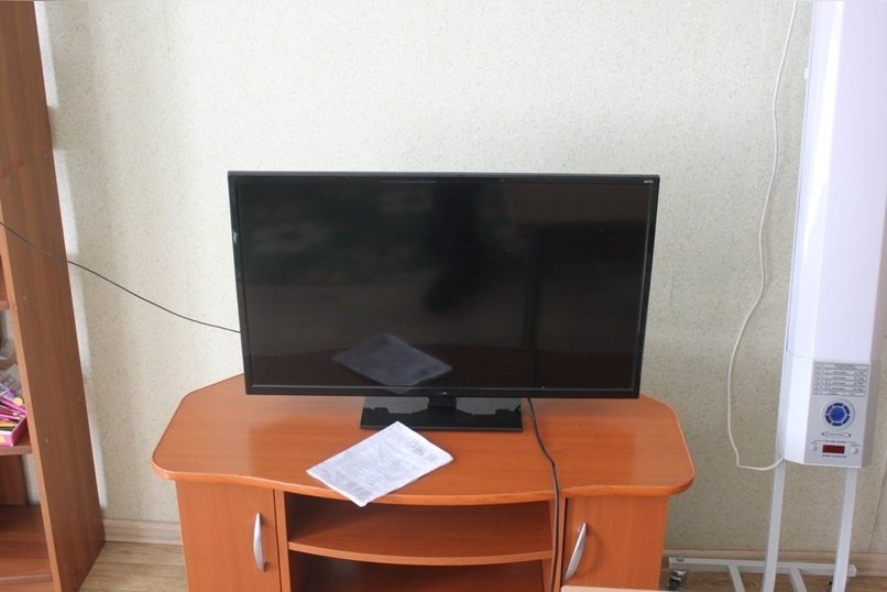 Электропылесосы и телевизоры подешевели в регионе