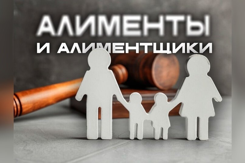 Как предлагают контролировать расход алиментов в России