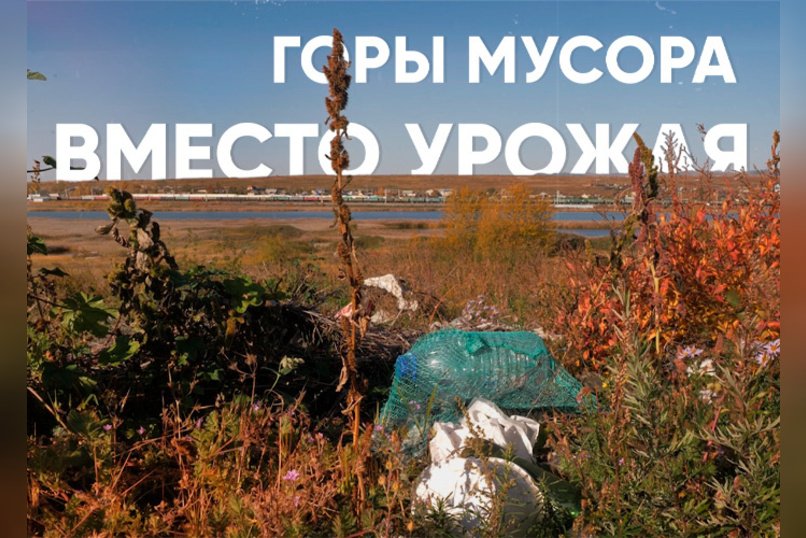 Тяжёлые металлы отравляют сельхозземли Забайкалья