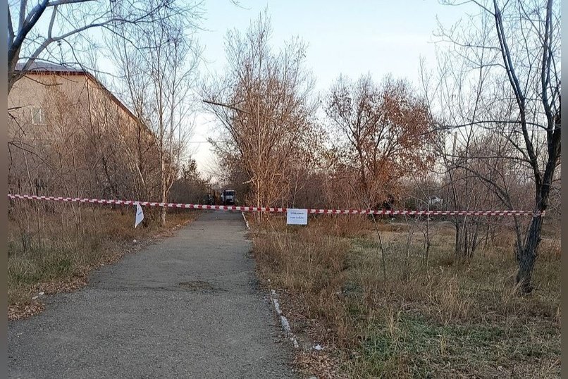 Власти пытаются бороться с бездомной собакой при помощи оградительной ленты