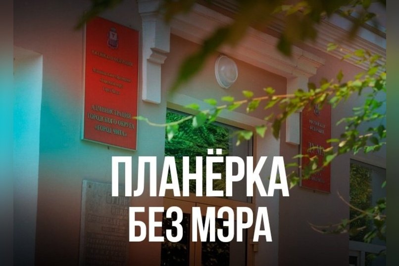 Планёрка в мэрии: читинцы продолжают мусорить и воровать цветы
