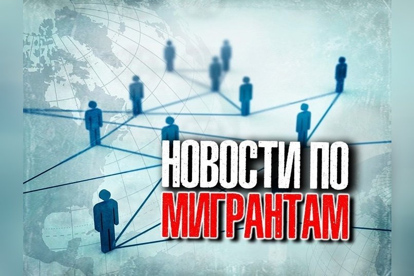 «Новые люди» предложили платить за донос на нелегальных мигрантов