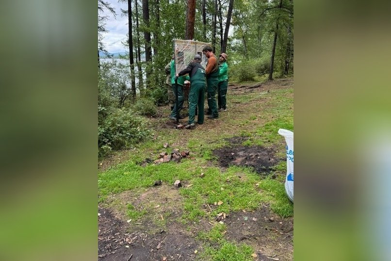 В Арейском парке убрали мусор и установили эколавочки