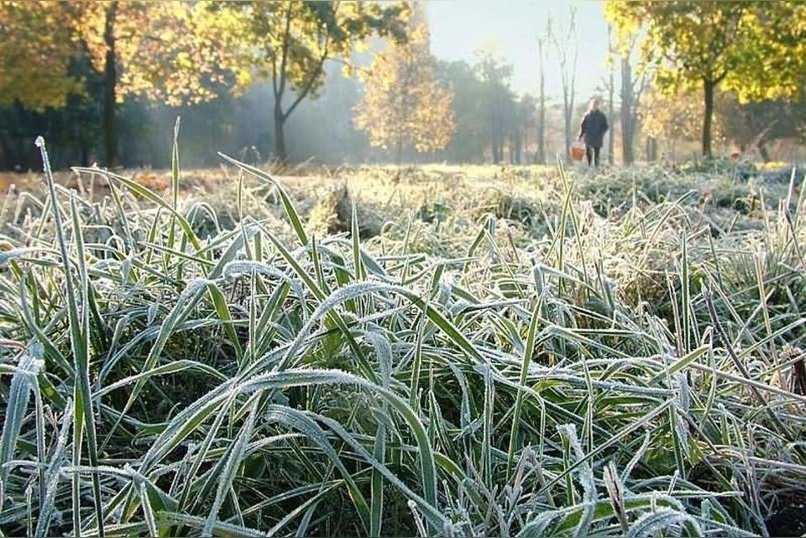 Заморозки обрушатся на Забайкалье
