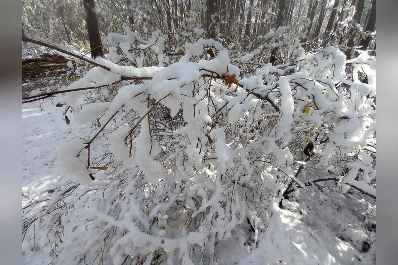 Небольшой снег ожидается завтра в Забайкалье