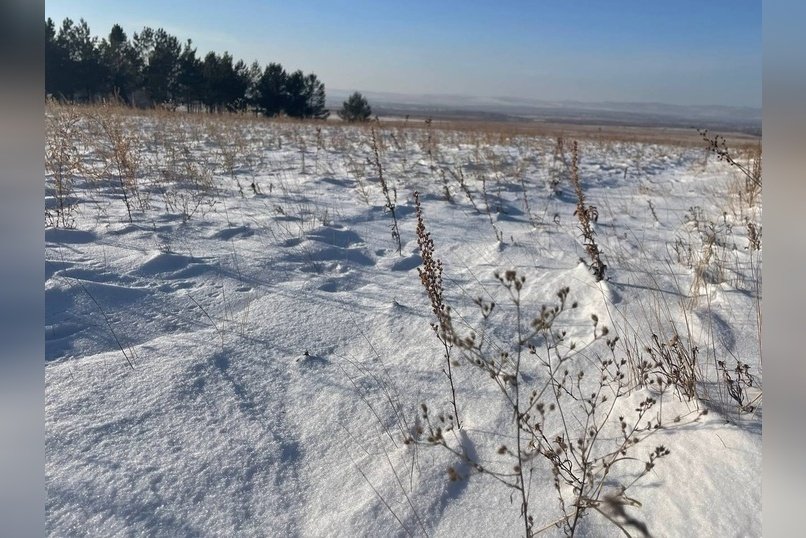 Небольшой снег ожидается завтра в Забайкалье