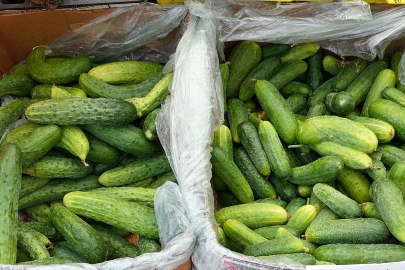 В Читинском районе фермеры перенасытили овощи пестицидами