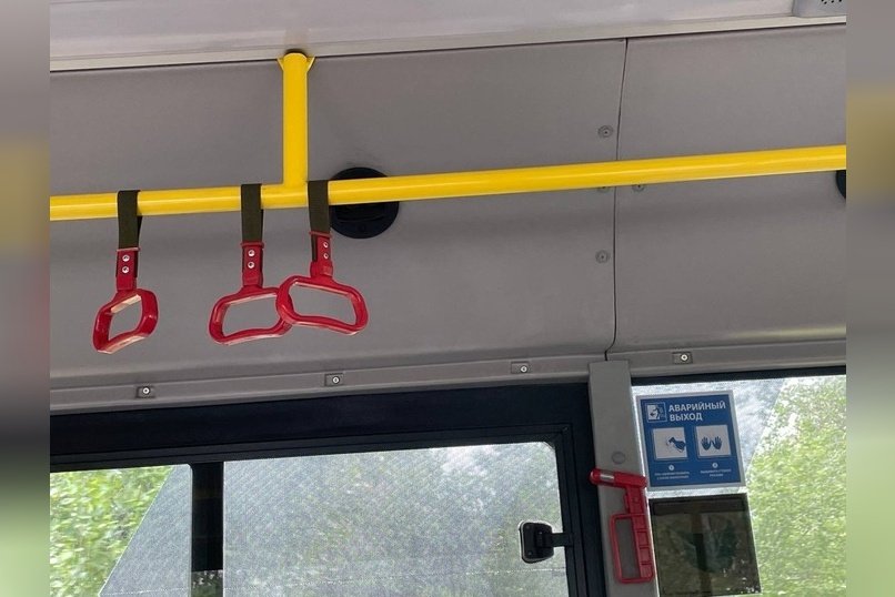 Постояльцы дома престарелых вернулись в поселок Ягодный