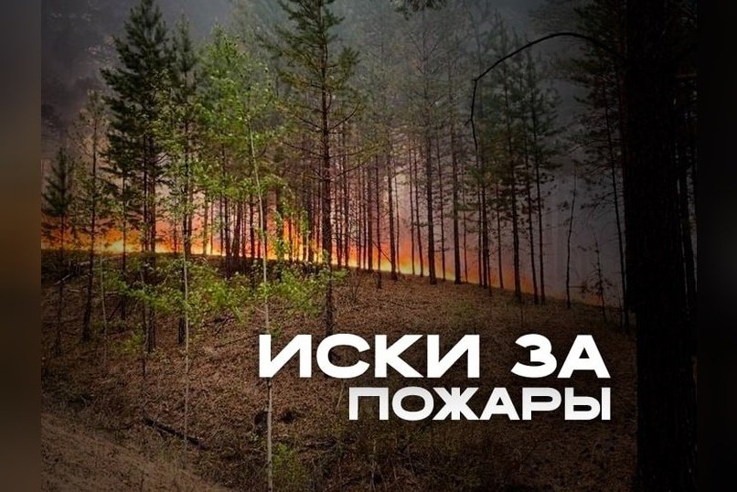 Регионам грозит потеря миллиардов из-за не поданных исков о пожарах