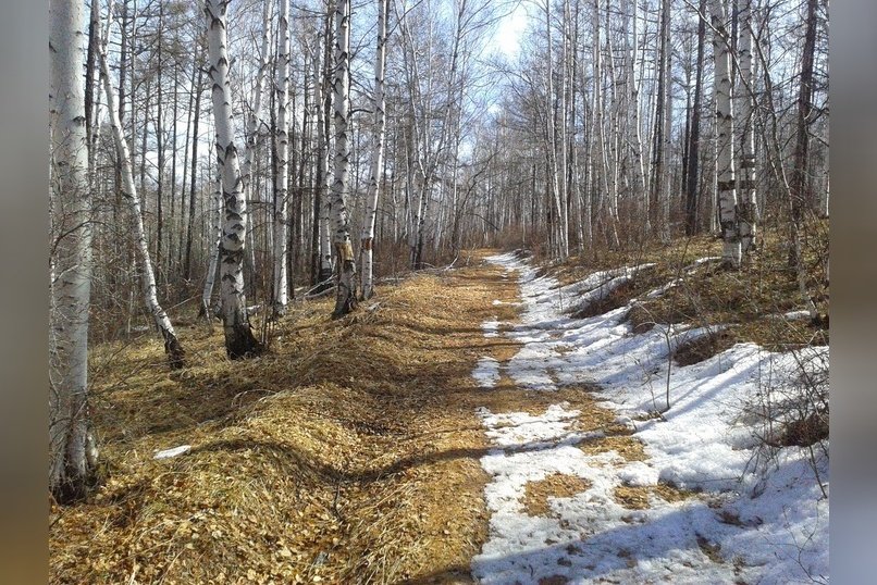 Опрос: главная причина, по которой вас не радует весна?