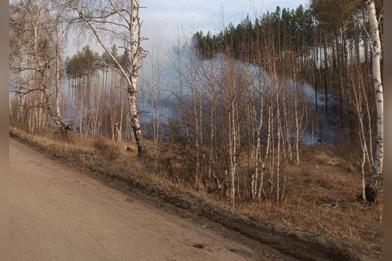 «Нам нужна помощь»: огонь охватил СНТ «Полянка»