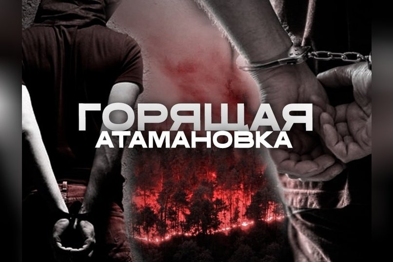 Задержание волонтёра Андрея Степаненко. Подростков обвиняют в поджоге леса. Что происходит?