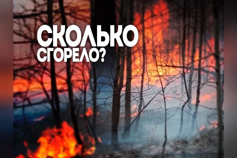 1,7 млн гектаров в огне: лесные пожары в Забайкалье в 2025 году