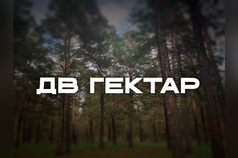 Компенсационное лесовосстановление для владельцев дальневосточного гектара