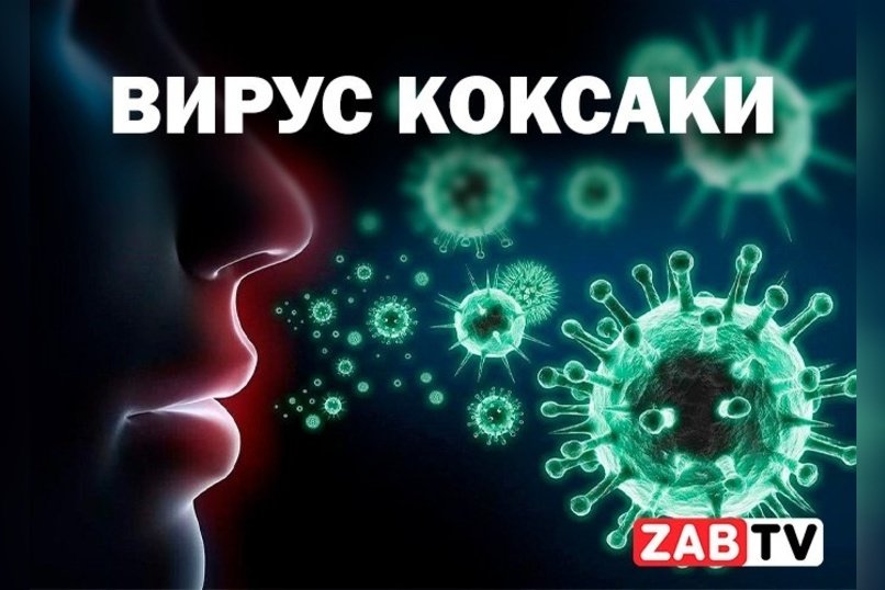 актуальное ВИРУС КОКСАКИ 5 ноября 2024