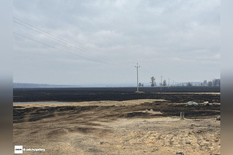 Трава на площади 600 кв метров горела в Чите