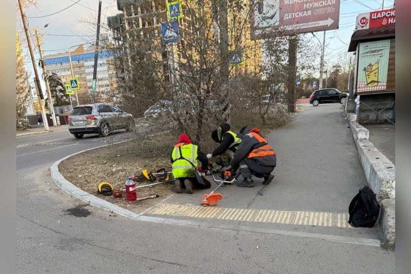 Читинцы удивлены скосу травы в конце октября