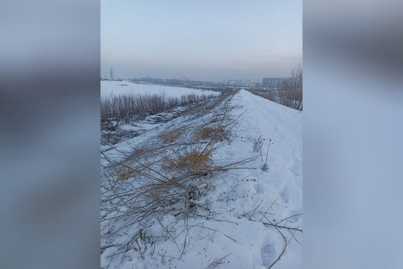 На дамбе реки Читы идёт зимняя срезка кустарника