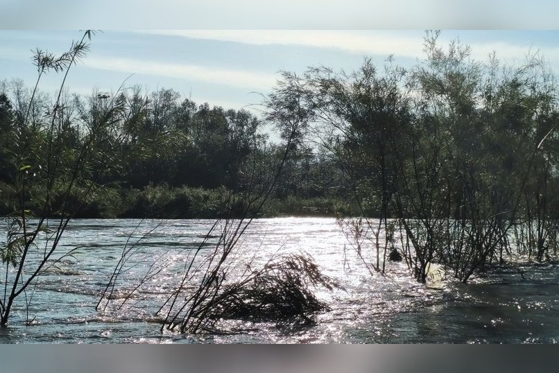 Уровень воды в реке Чита продолжает снижаться