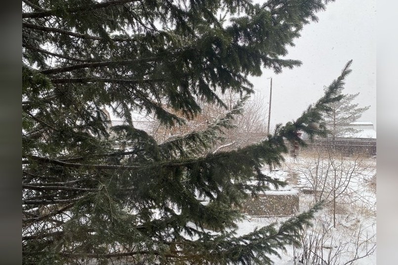 В Забайкалье ожидается небольшой снег