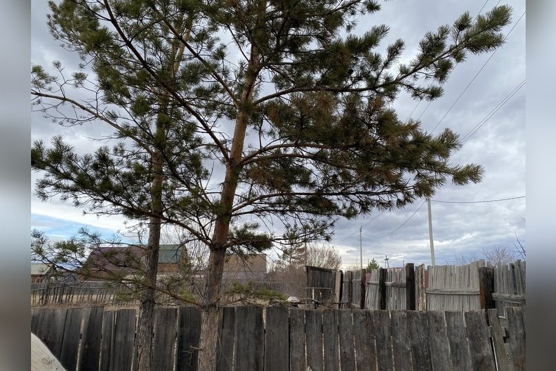 Прогноз погоды на неделю публикует ZAB.RU