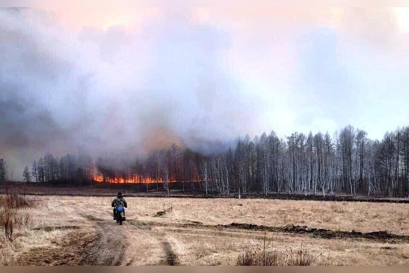 1,5 тысячи человек тушат пожары в Забайкалье