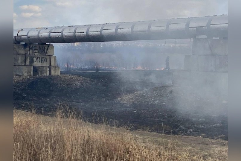 «Забайкалье в огне»: подросток устроил пожар рядом с селом Александровский Завод