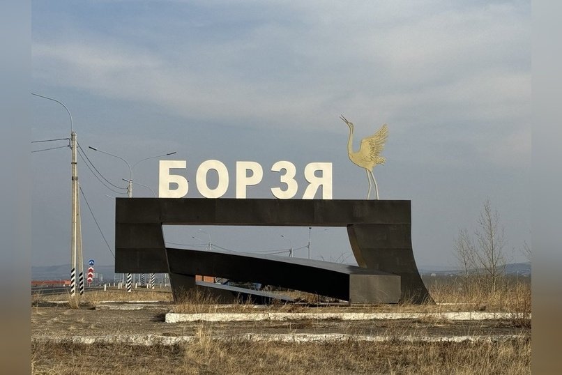 Прокуратура организовала проверку по призрачному озеленению в Борзе