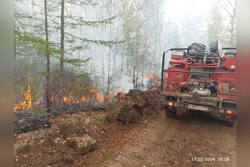 Лесной пожар у посёлка Новоширокинский охватил свыше 200 гектаров