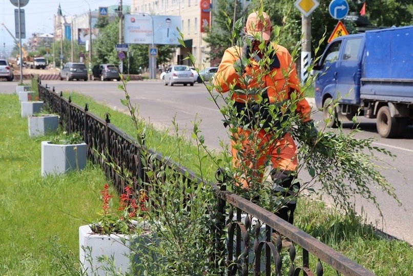 Читинские вазоны «обросли» цветами: рабочие начали высадку растений