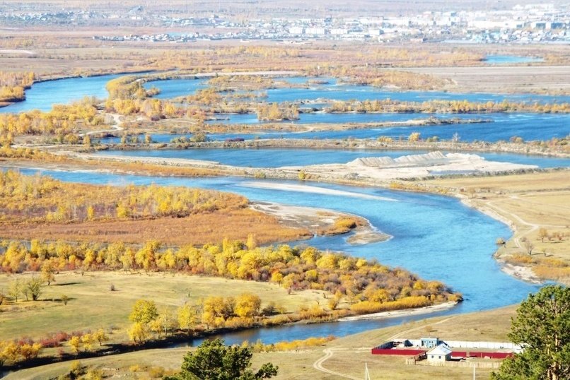 Животному миру Забайкалья причинён ущерб на десятки миллионов рублей