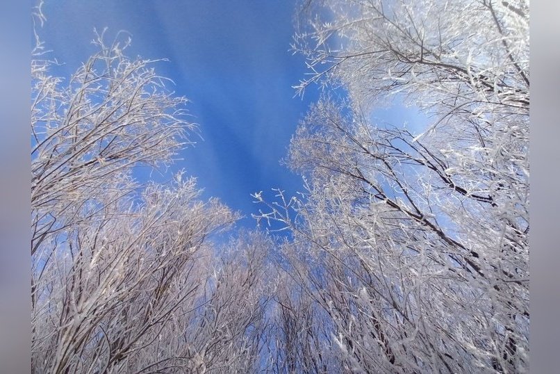 Лютые морозы обрушатся на Забайкалье