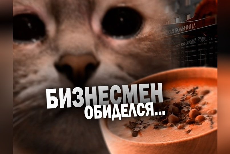 Или когда на душе скребут кошки…