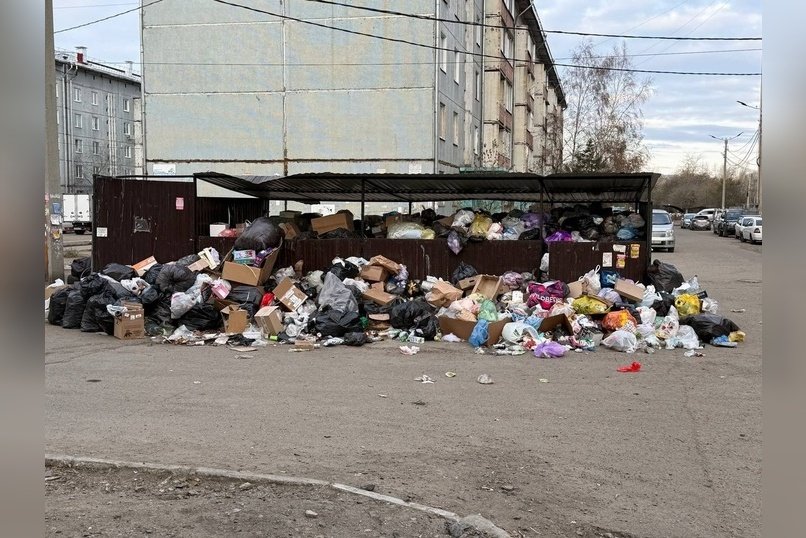 В Чите 1-й микрорайон вновь зарастает мусором