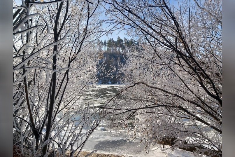 Гороскоп для жителей Забайкальского края на 8 ноября
