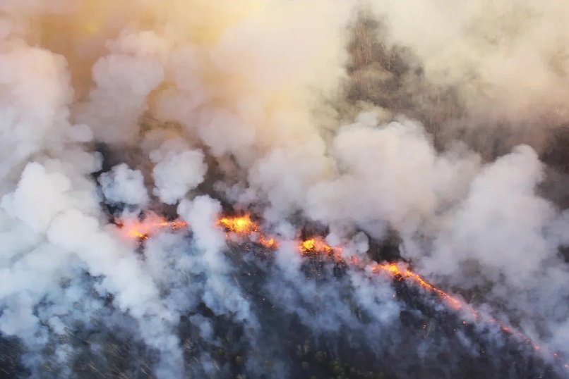 Сильные лесные пожары прогнозируются на юге Забайкалья