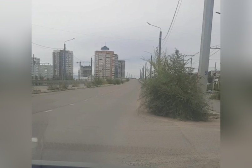 Деревья в человеческий рост выросли на мосту через Каштакское кольцо