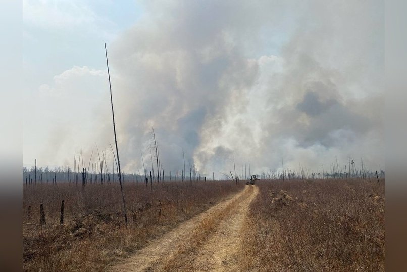 Пожар развернулся рядом с Ильинкой