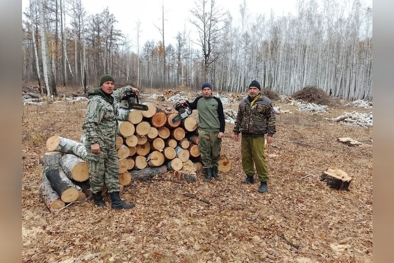 На Аргунском участке «Забайкаллесхоза» продолжается заготовка древесины