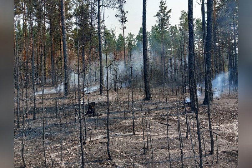 «Забайкалье в огне»: шесть пожаров действуют в регионе