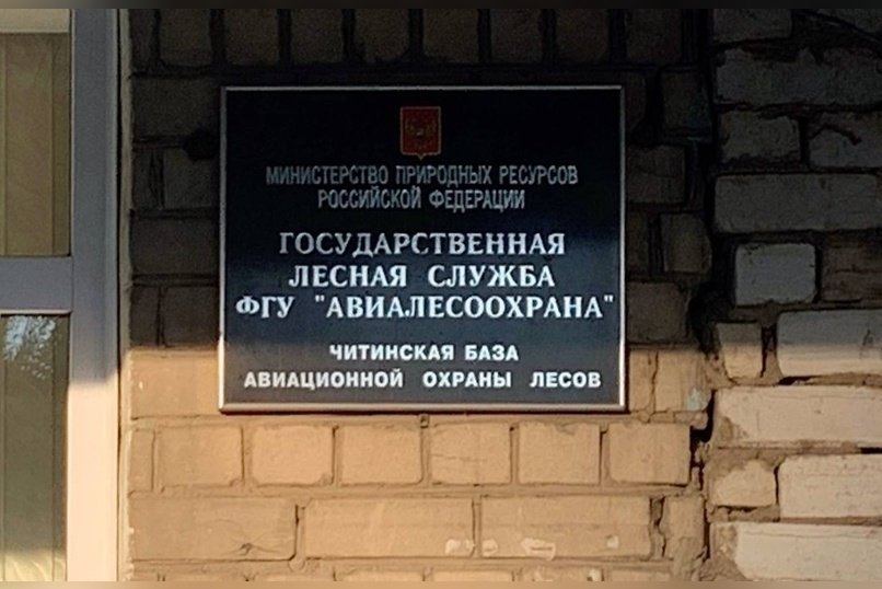 Опубликован прогноз лесных пожаров в ДФО на август 2025 года