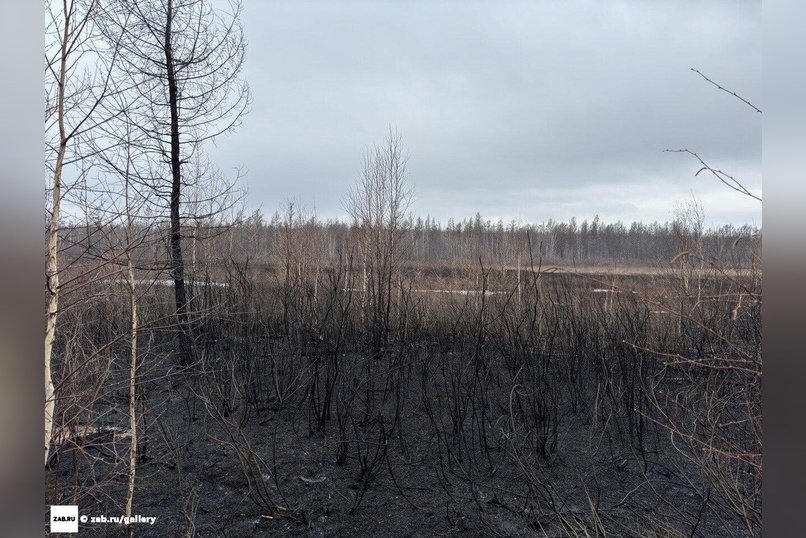 «Забайкалье в огне»: рядом с поселком Степной горела трава