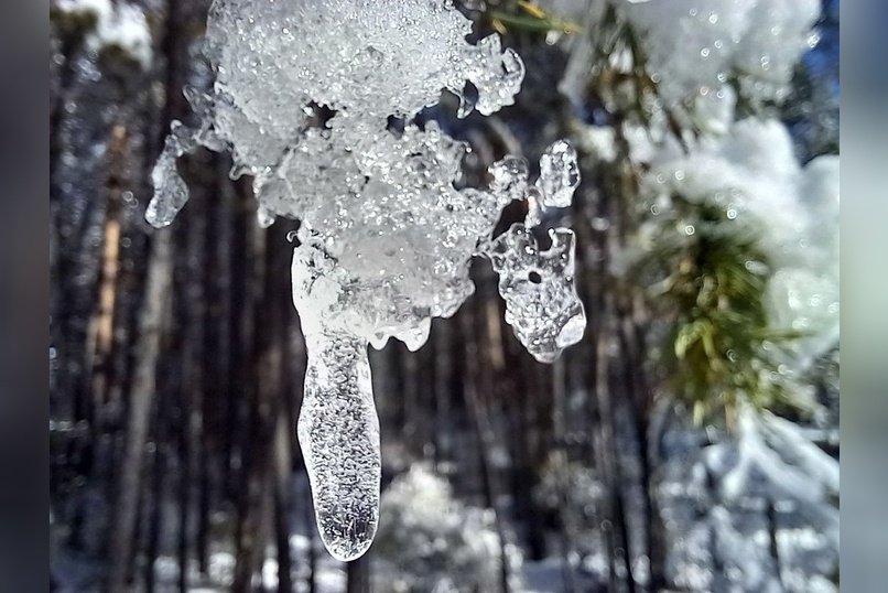 Теплые выходные ожидаются в Забайкалье