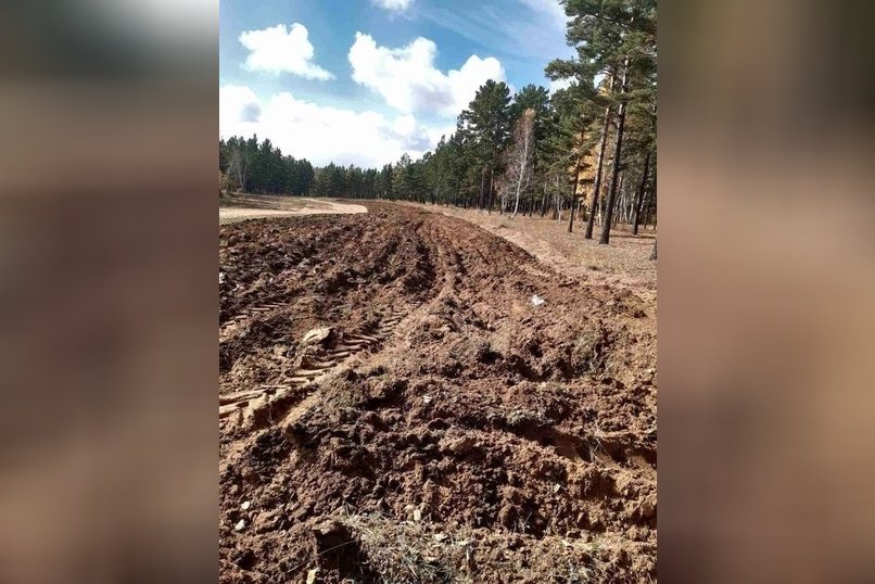Больше 100 км противопожарных минполос прочистили лесные пожарные