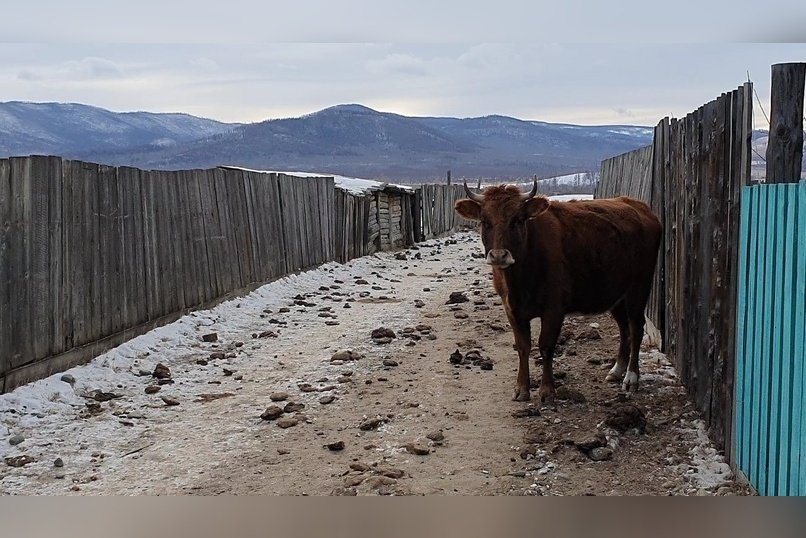 Режим ЧС введут в нескольких районах Забайкалья