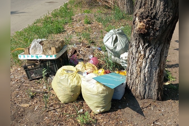 В Чите готовятся к масштабному общегородскому субботнику