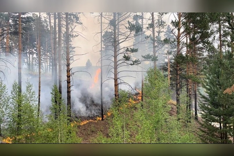 В округе Забайкалья очистят минерализованные полосы