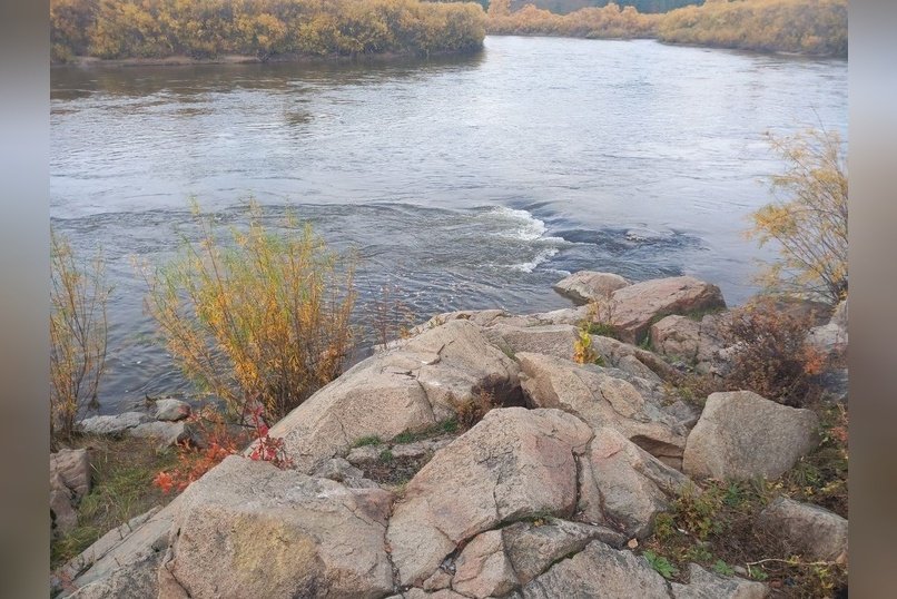 Читинцы переживают за судьбу не улетевшей на зимовку птицы