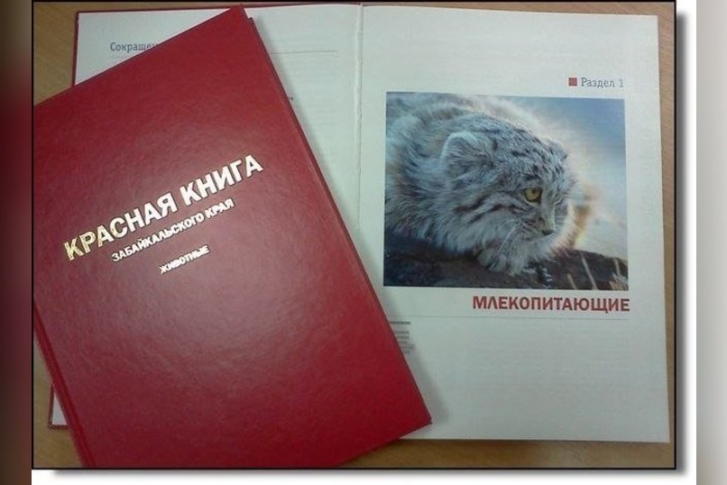 Работы по изданию Красной книги Забайкалья идут по графику